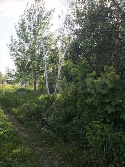 Участок 9 сот. (СНТ, ДНП)