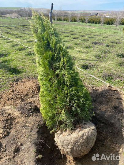 Разнорабочий