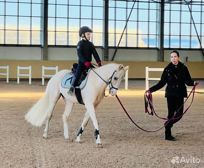 Обучение верховой езде