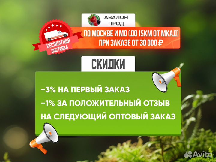 Опята замороженные / замороженные грибы