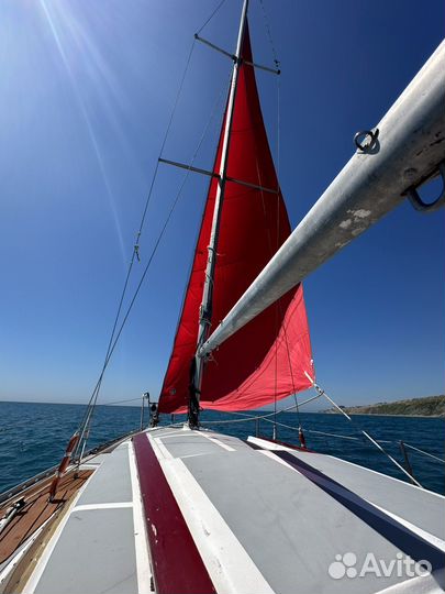 Морские прогулки