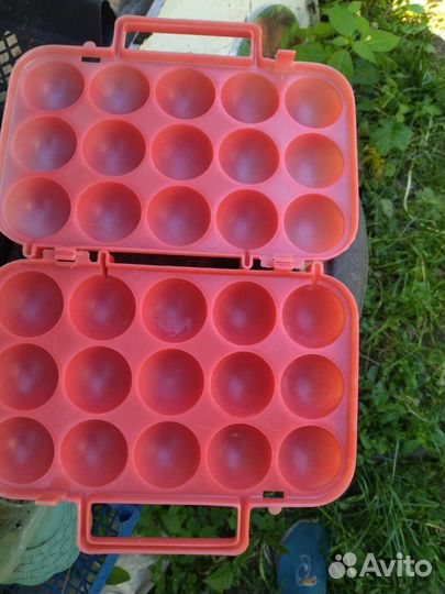 Ячейка для яиц