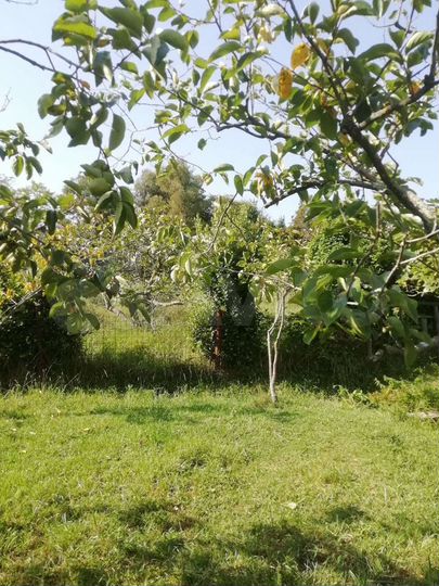 Участок 35,2 сот. (ИЖС)