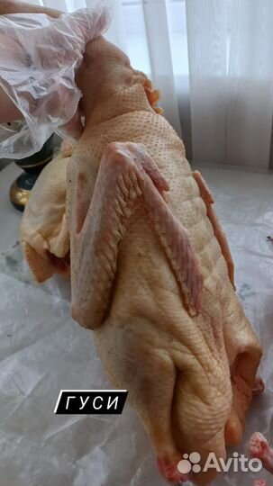 Тушки птицы