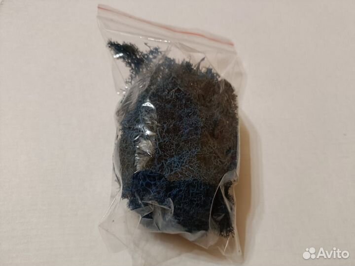 Стабилизированный мох