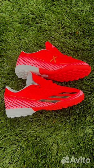 Сороконожки