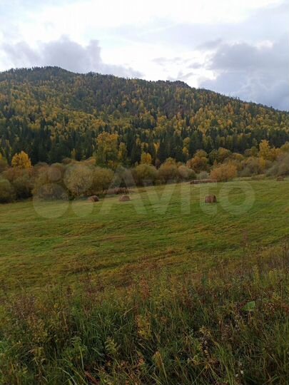 Участок 3,6 га (СНТ, ДНП)