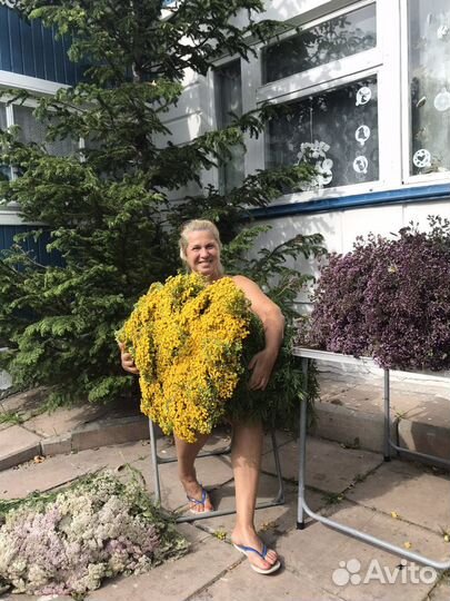 Веники для бани