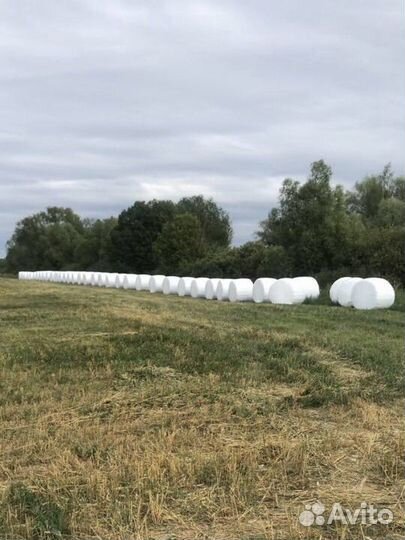 Сенаж зерновой с доставкой