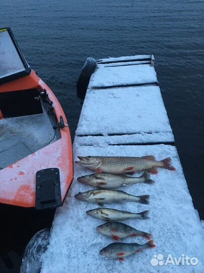 Рыбалка с гидом