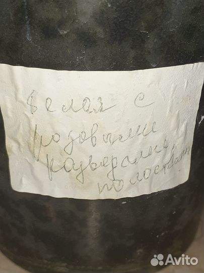Орхидея фаленопсис детка