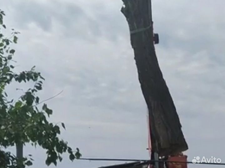 Бревно для будущего стола, залитого смолой