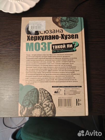 Мозг, такой ли он особенный