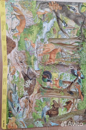 Книга на английском языке