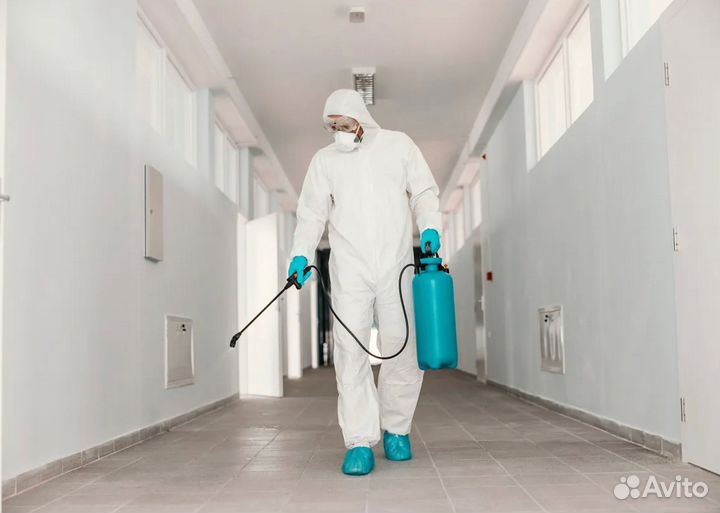 Помогу избавиться от тараканов, клопов, муравьев