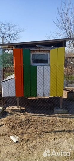 Курятник на 10 кур зимний