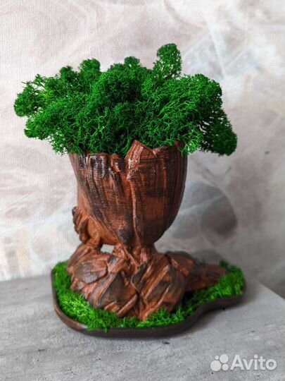 Кашпо со мхом