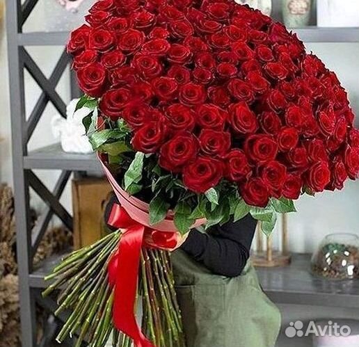 101 роза цветы букеты доставка 25 51 101 роза