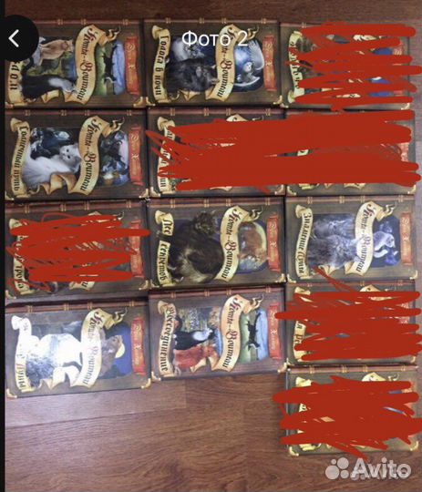 Книги Коты-Воители Эрин Хантер