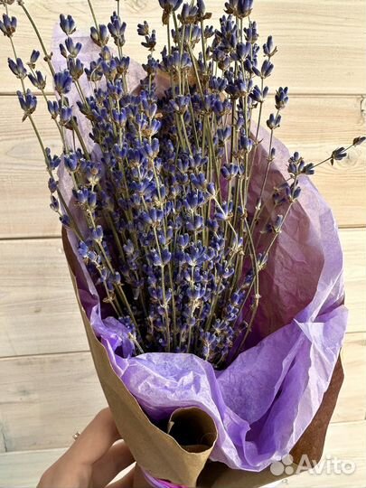 Букет из лаванды