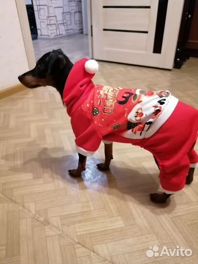 Утепленные комбинезоны для собаки