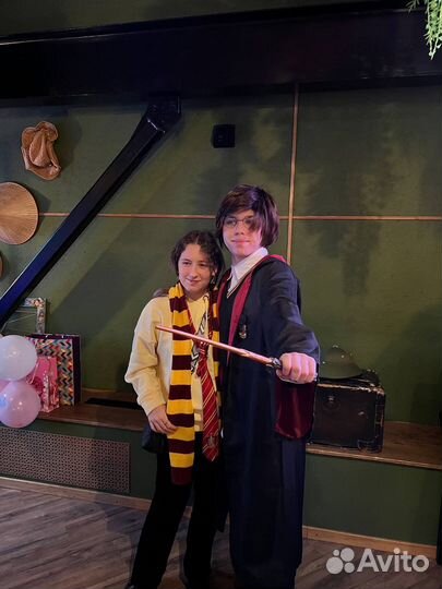 Аниматор Гарри Поттер