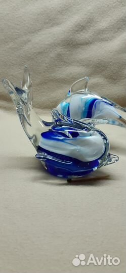 Дельфин, рыба-стекло