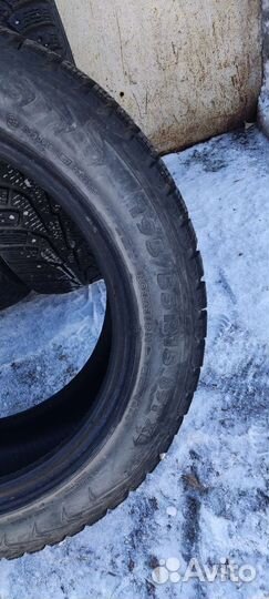 Nokian Tyres Hakkapeliitta 5 195/55 R15 89T