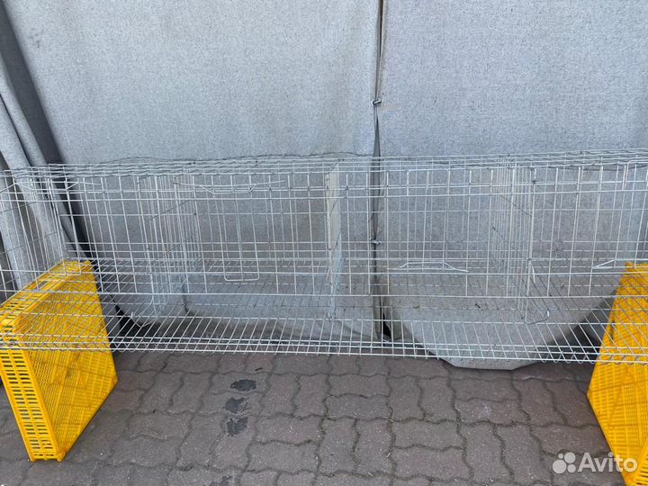 Клетки для кур несушек