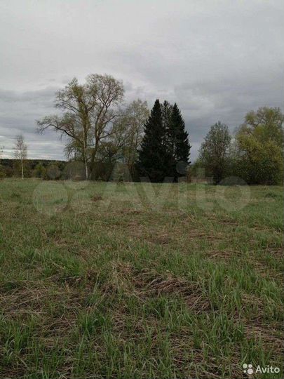 Участок 23,5 сот. (ИЖС)