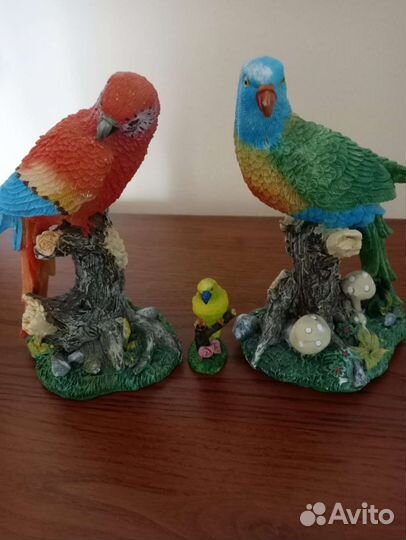 Попугайчики