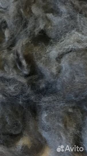 Шерсть животного