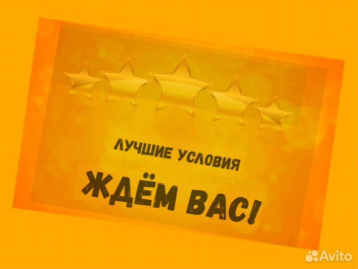 Наборщик заказов Без опыта Еженедельные выплаты