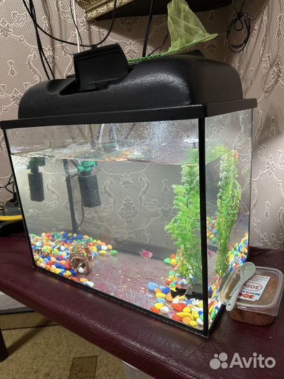 Аквариум с рыбками