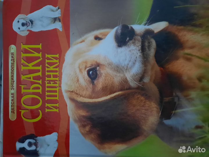 Детская литература