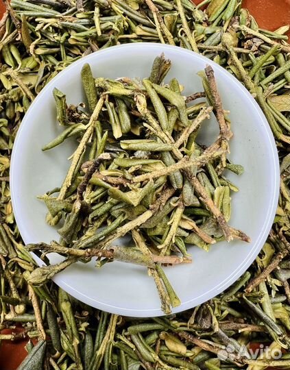 Лютый Энерджайзер Саган-дайля(Рододендрон Адамса)