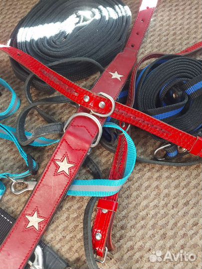 Ошейник для собак. Поводок. Шлейка. Намордник