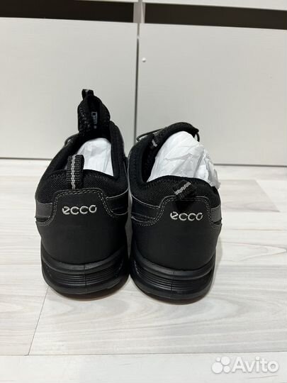 Ecco terra cruise