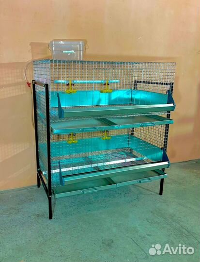 Клетки для кур бройлеров