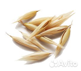 Концетрат муки овса. Бета-глюкан для выпечки и не