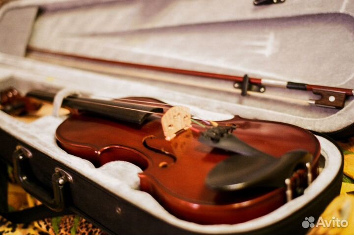 Скрипка 4/4 аренда посуточно