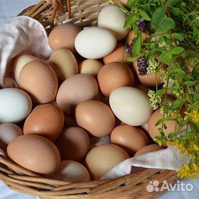 Домашние яйца перепелиные и куриные