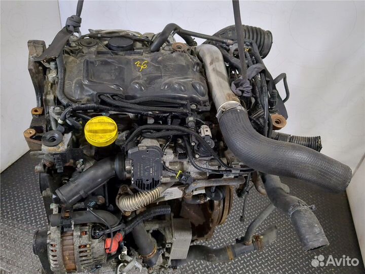 Двигатель Renault Koleos, 2009