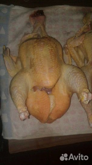 Мясо курицы домашнее