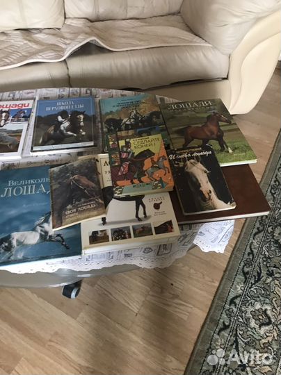 Про лошадей