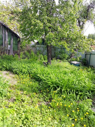 Участок 4,6 сот. (ИЖС)