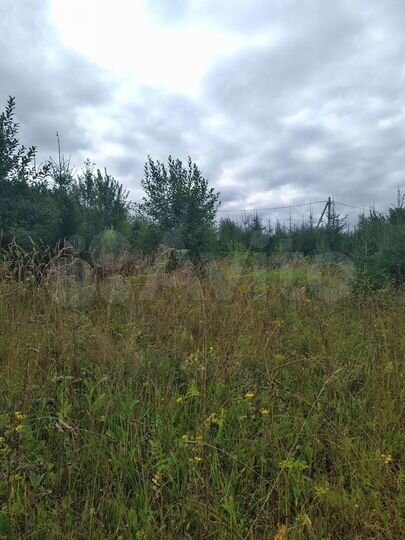 Участок 10,4 сот. (СНТ, ДНП)