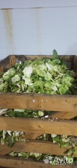 Отходы овощей на корм животным