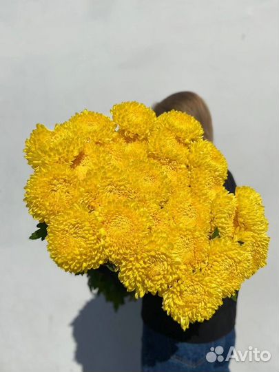 Одноголовая хризантема букет хризантем