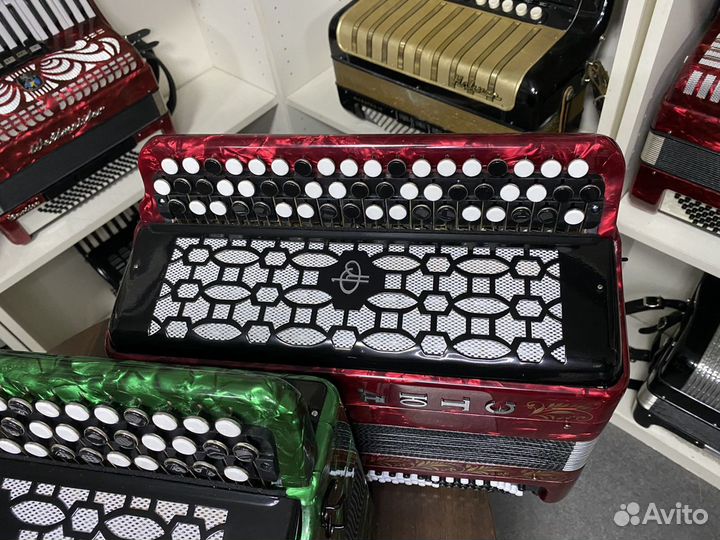 Баяны Этюд любого цвета